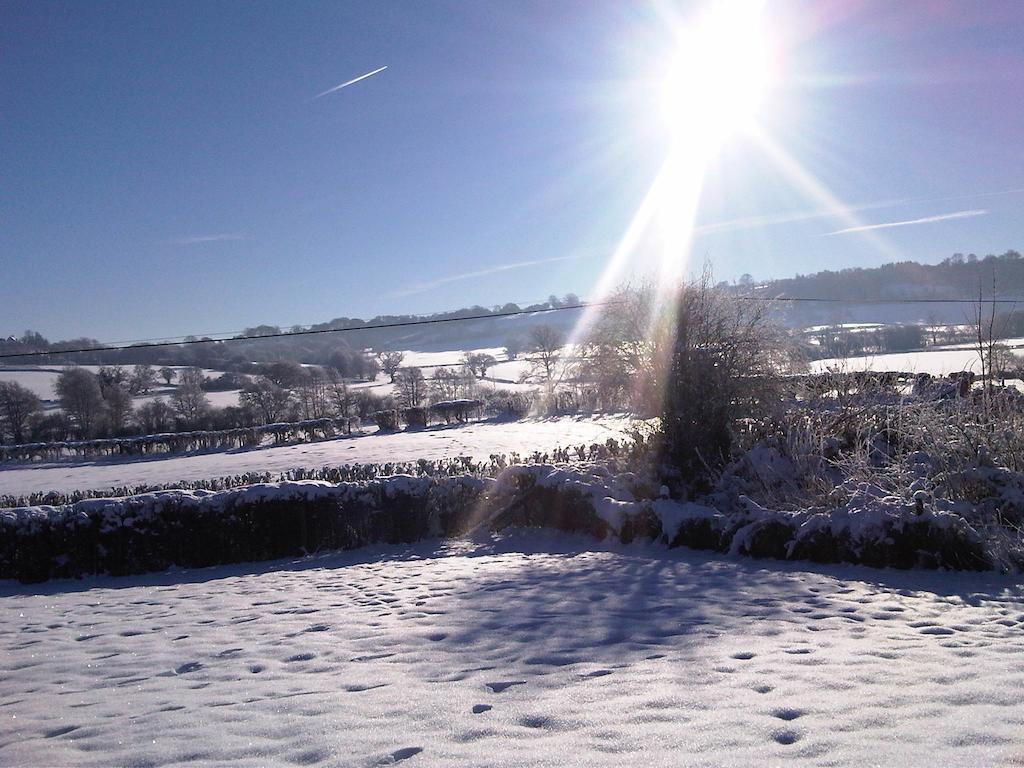 Upper Letton Farm Bed & Breakfast Leintwardine Eksteriør bilde