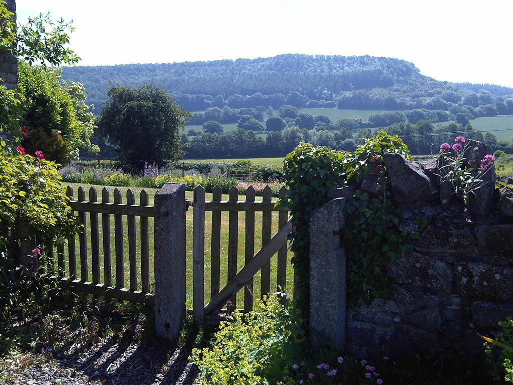 Upper Letton Farm Bed & Breakfast Leintwardine Eksteriør bilde