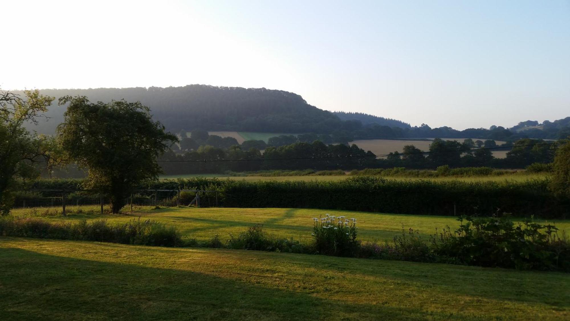 Upper Letton Farm Bed & Breakfast Leintwardine Eksteriør bilde