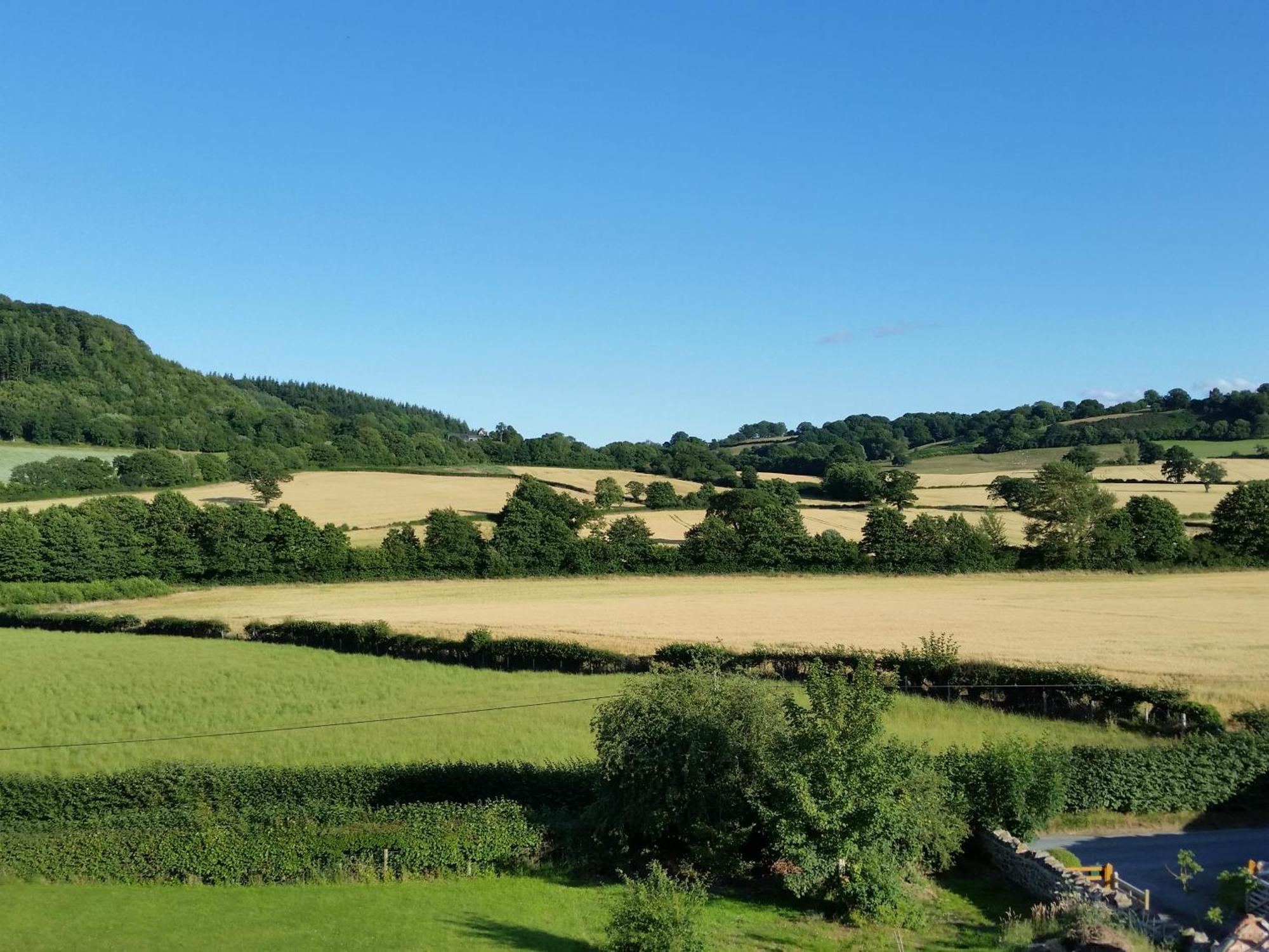Upper Letton Farm Bed & Breakfast Leintwardine Eksteriør bilde